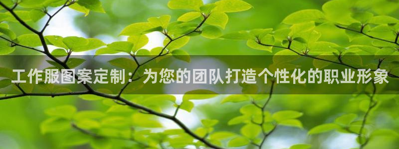 龙8手机版官方正版下载|工作服图案定制：为您的团队打造个性化的职业形象